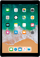 iPad Pro 12.9 (2-го поколения)